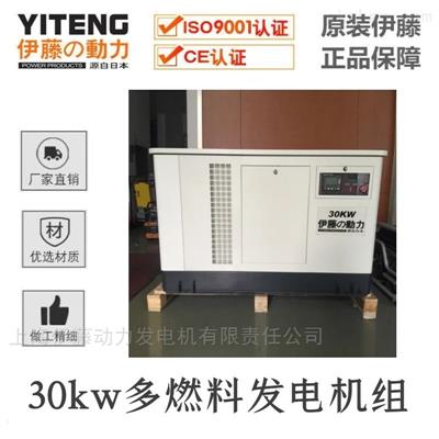 30KW多燃料低噪音發(fā)電機YT30REP