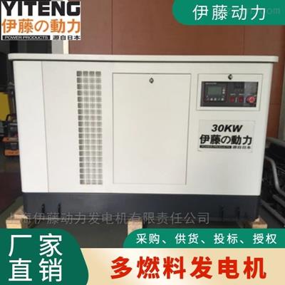 30kw機房應急發(fā)電機YT30REP